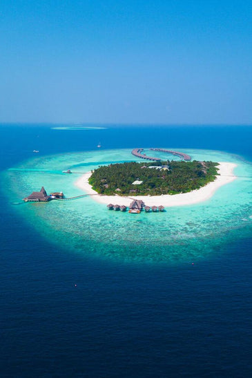 Beauty Of Solomon Island And Love