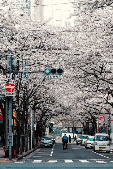 Discover Japan
