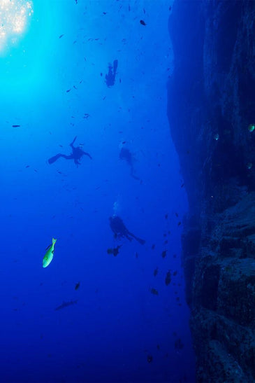 Diving Adventure