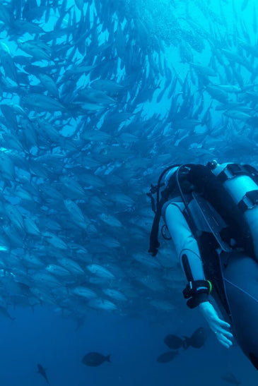 Diving Adventure