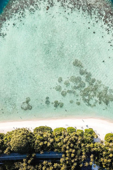 Beauty Of Solomon Island And Love