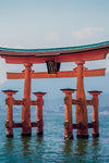 Discover Japan