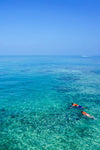 Diving Adventure