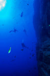 Diving Adventure