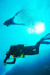 Diving Adventure