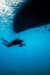 Diving Adventure