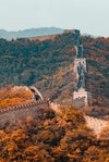 Forest Adventure China
