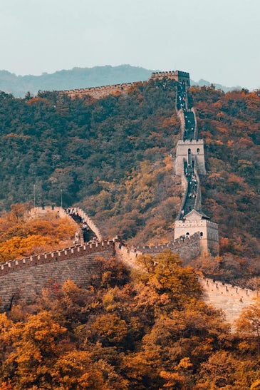 Forest Adventure China