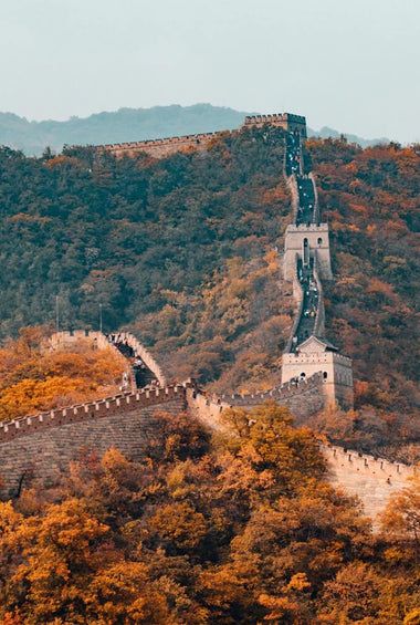 Forest Adventure China