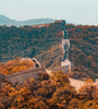 Forest Adventure China