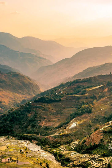 Forest Adventure China