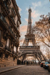 French Autumn