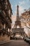 French Autumn