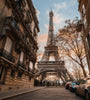 French Autumn