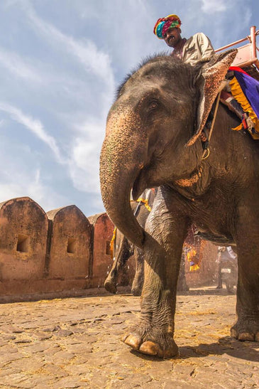 India Is For Everyone