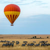 Kenya Safari