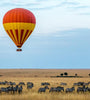 Kenya Safari