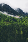 Now You Can Have Your Slovenia