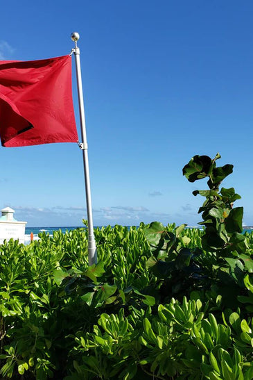 Proof That Bahamas Beauty Really Works