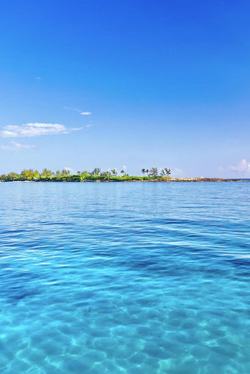 Proof That Bahamas Beauty Really Works