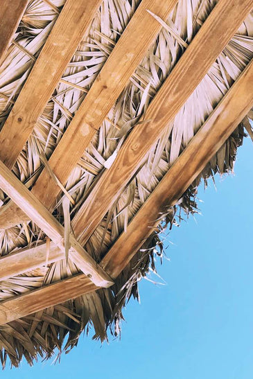 Proof That Bahamas Beauty Really Works