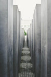 Sightseeing Tour Of Berlin